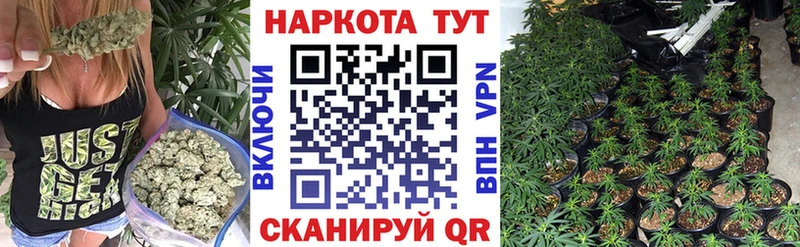 A-PVP Полярный