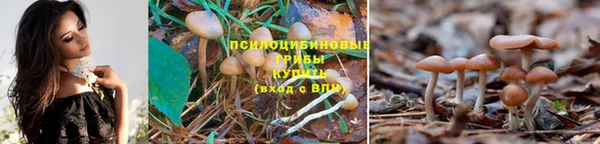 ALPHA PVP Армянск