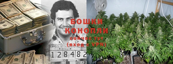 каннабис Арсеньев