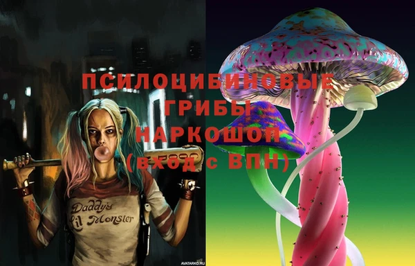 сатива Навашино