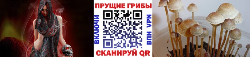 Галлюциногенные грибы Cubensis  Полярный 
